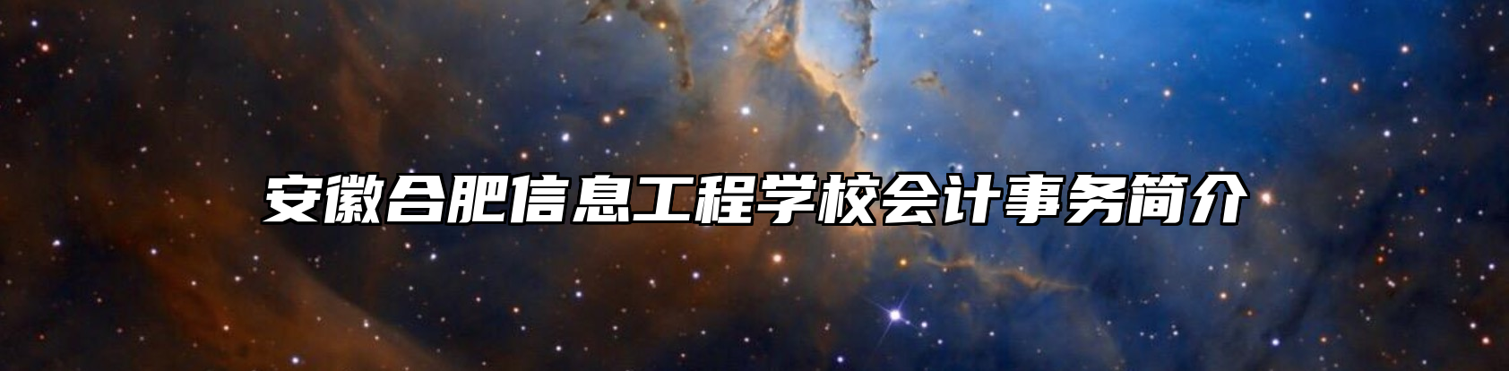 安徽合肥信息工程学校会计事务简介