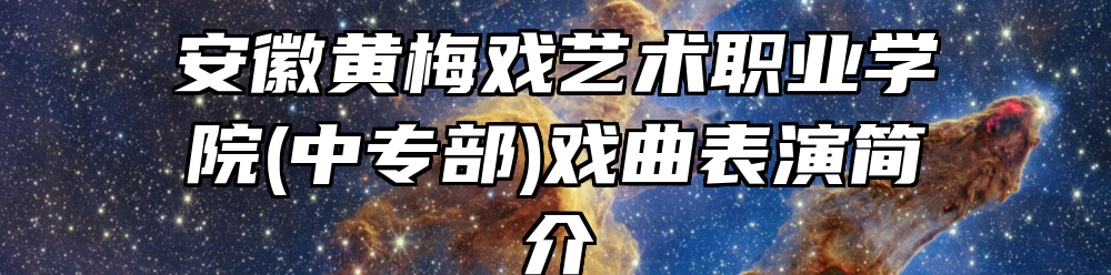 安徽黄梅戏艺术职业学院(中专部)戏曲表演简介