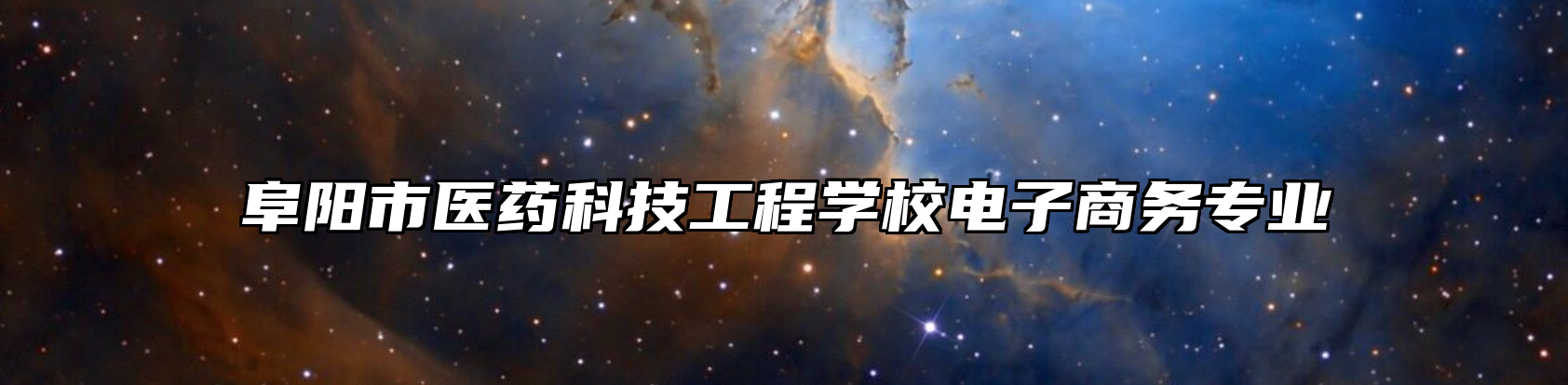 阜阳市医药科技工程学校电子商务专业