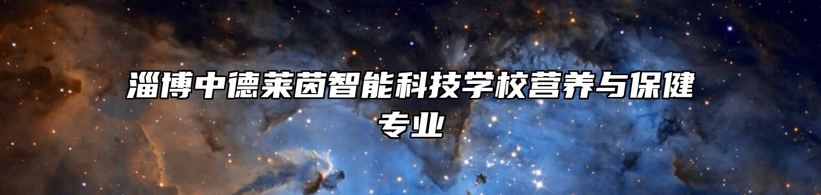 淄博中德莱茵智能科技学校营养与保健专业