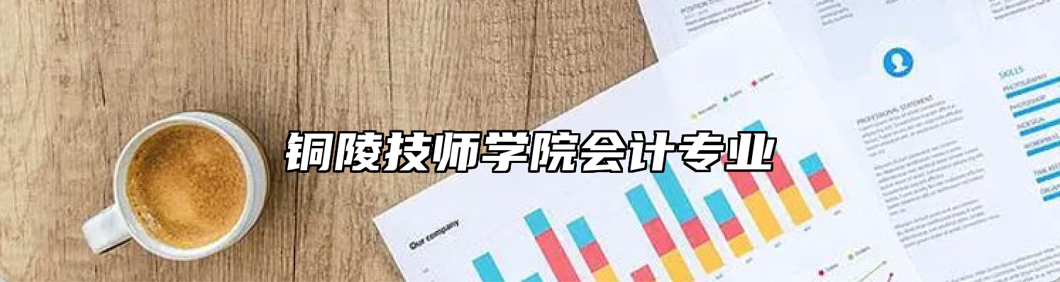 铜陵技师学院会计专业