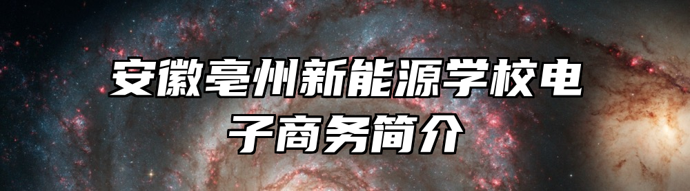 安徽亳州新能源学校电子商务简介