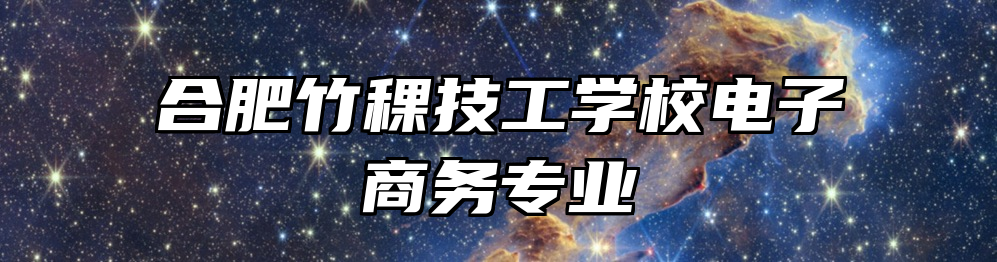 合肥竹稞技工学校电子商务专业