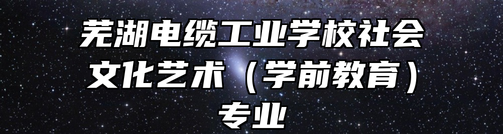 芜湖电缆工业学校社会文化艺术（学前教育）专业