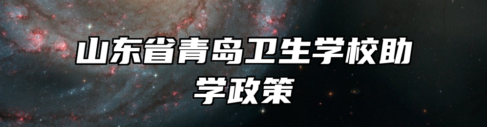 山东省青岛卫生学校助学政策