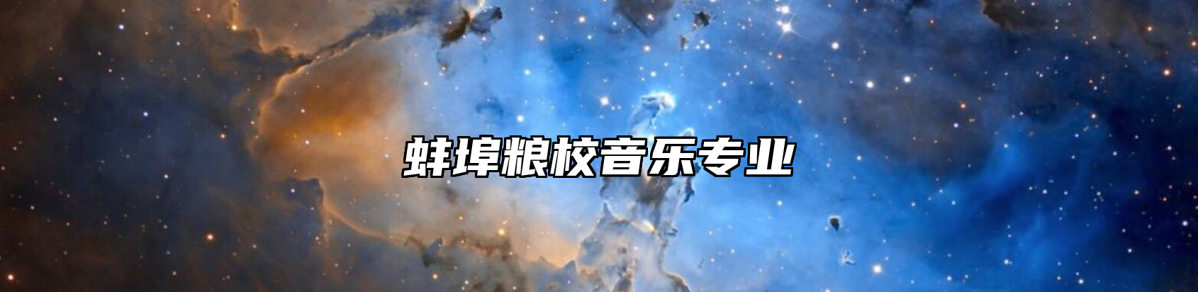 蚌埠粮校音乐专业
