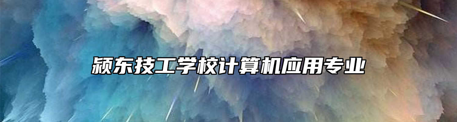 颍东技工学校计算机应用专业