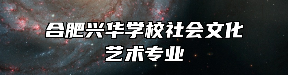合肥兴华学校社会文化艺术专业
