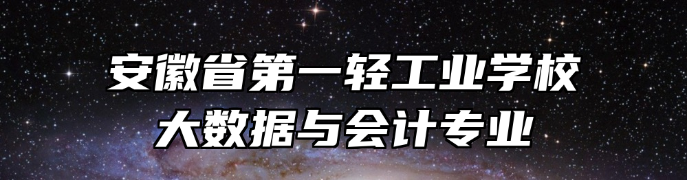 安徽省第一轻工业学校大数据与会计专业