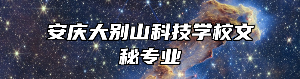 安庆大别山科技学校文秘专业