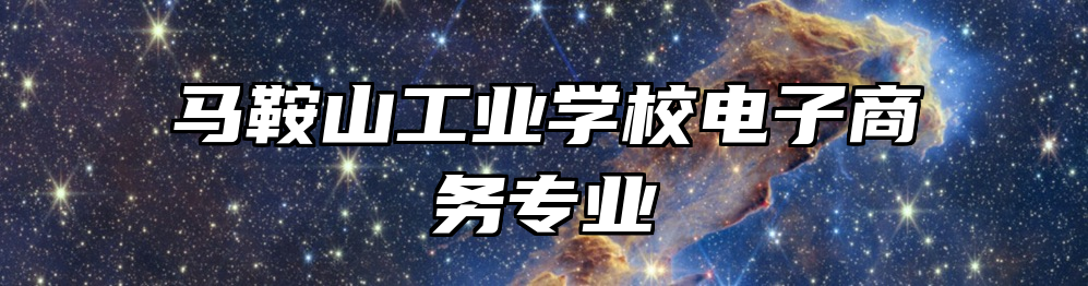马鞍山工业学校电子商务专业