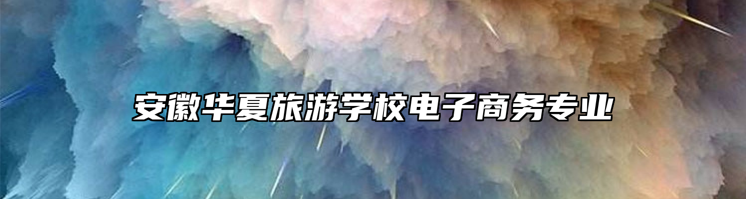 安徽华夏旅游学校电子商务专业