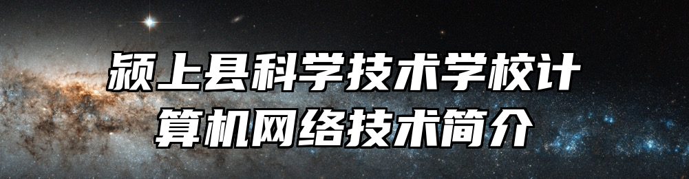 颍上县科学技术学校计算机网络技术简介