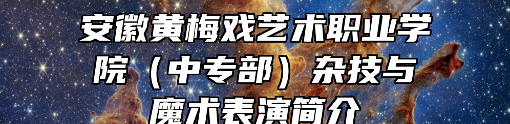 安徽黄梅戏艺术职业学院（中专部）杂技与魔术表演简介