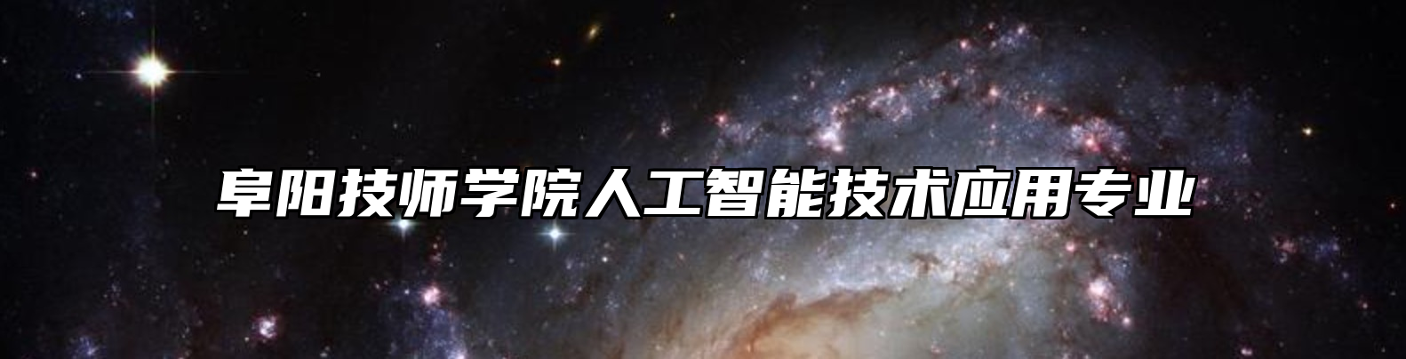阜阳技师学院人工智能技术应用专业