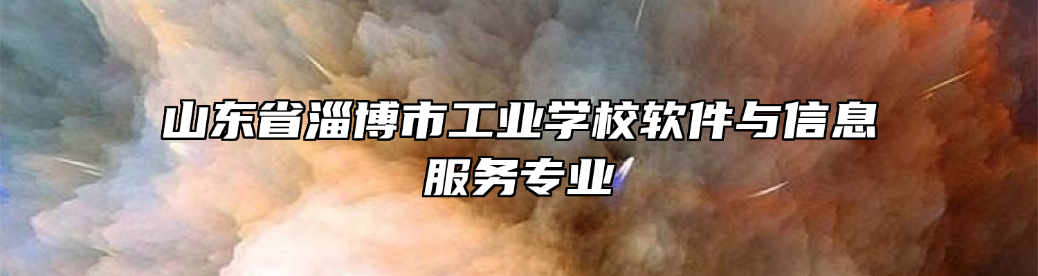 山东省淄博市工业学校软件与信息服务专业
