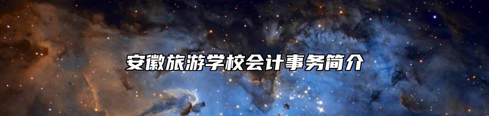 安徽旅游学校会计事务简介