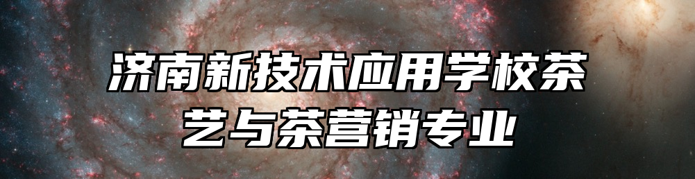 济南新技术应用学校茶艺与茶营销专业