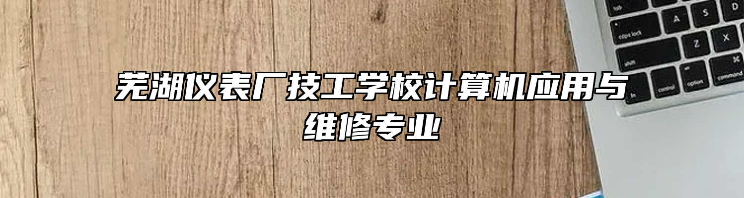 芜湖仪表厂技工学校计算机应用与维修专业
