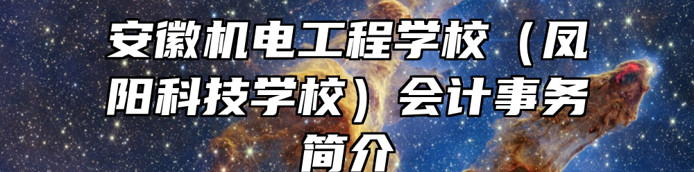 安徽机电工程学校（凤阳科技学校）会计事务简介