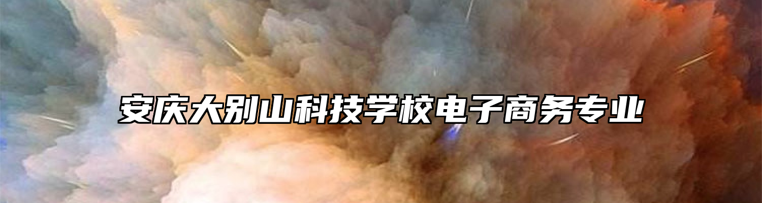 安庆大别山科技学校电子商务专业
