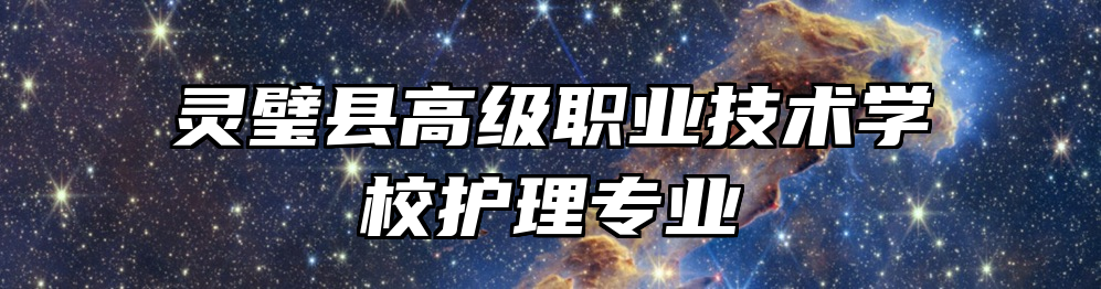 灵璧县高级职业技术学校护理专业