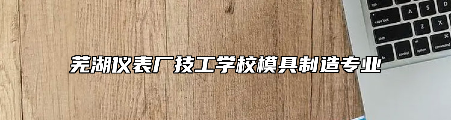 芜湖仪表厂技工学校模具制造专业