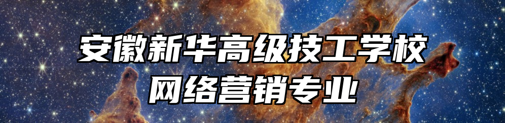 安徽新华高级技工学校网络营销专业