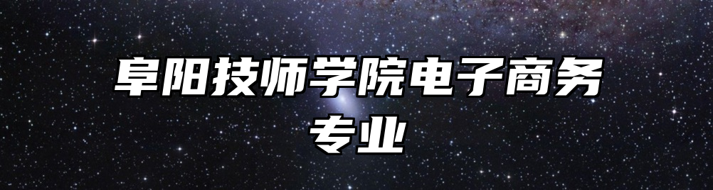阜阳技师学院电子商务专业