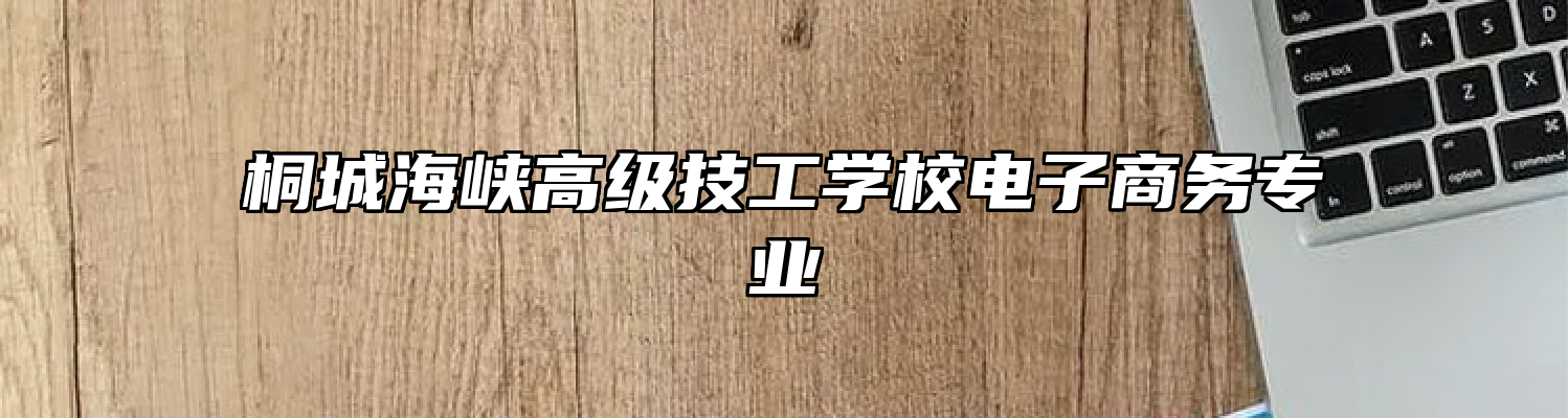 桐城海峡高级技工学校电子商务专业