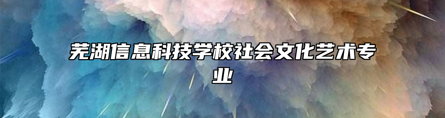 芜湖信息科技学校社会文化艺术专业