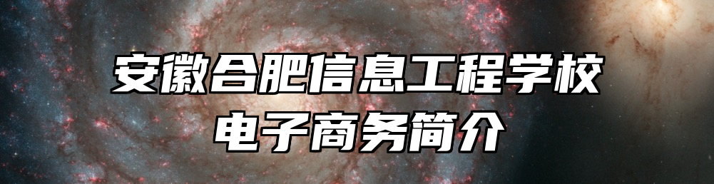 安徽合肥信息工程学校电子商务简介
