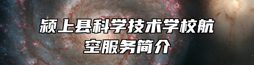 颍上县科学技术学校航空服务简介