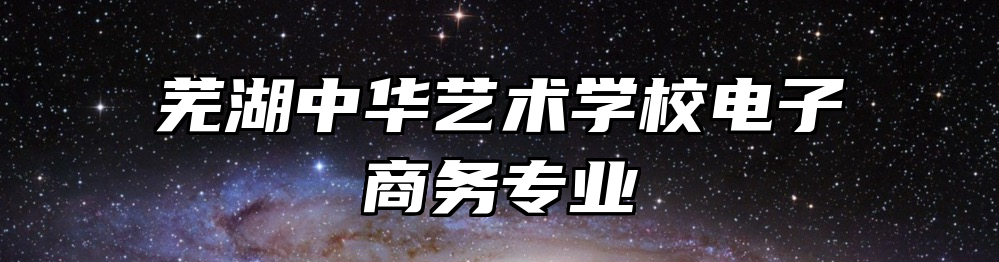 芜湖中华艺术学校电子商务专业