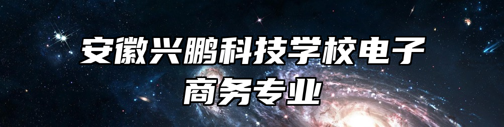 安徽兴鹏科技学校电子商务专业