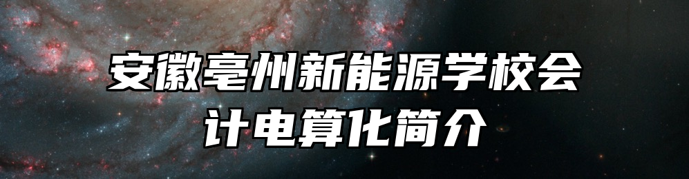 安徽亳州新能源学校会计电算化简介