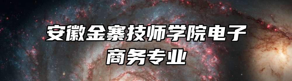 安徽金寨技师学院电子商务专业