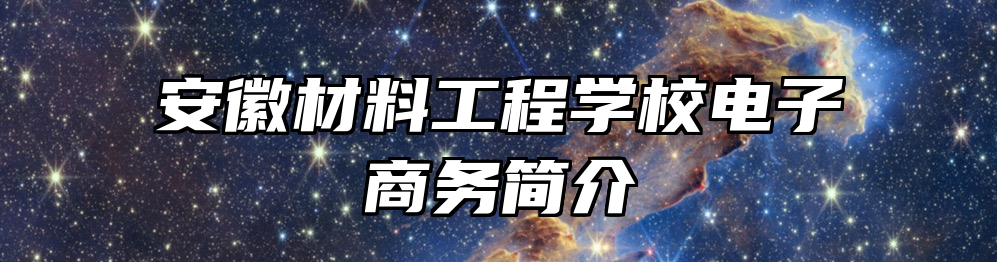 安徽材料工程学校电子商务简介
