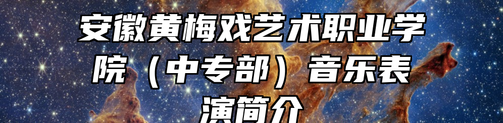 安徽黄梅戏艺术职业学院（中专部）音乐表演简介