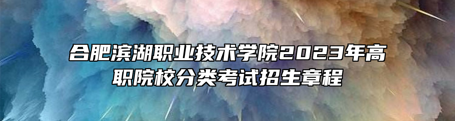 合肥滨湖职业技术学院2023年高职院校分类考试招生章程