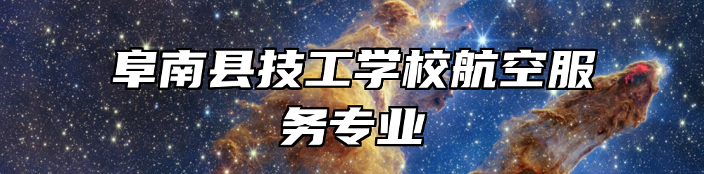 阜南县技工学校航空服务专业