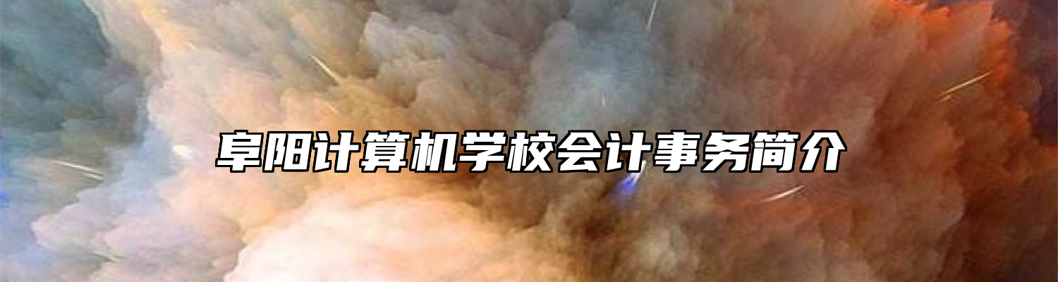 阜阳计算机学校会计事务简介