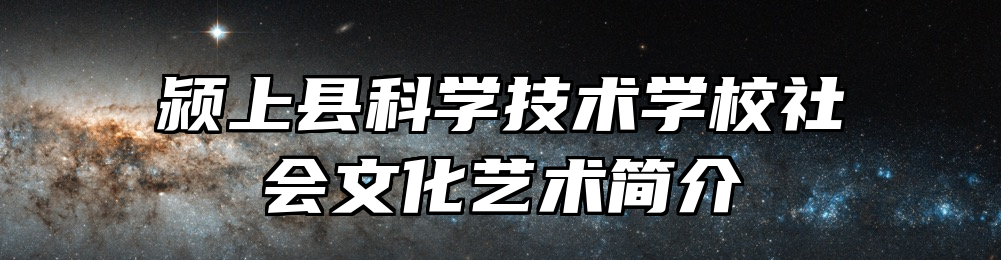 颍上县科学技术学校社会文化艺术简介