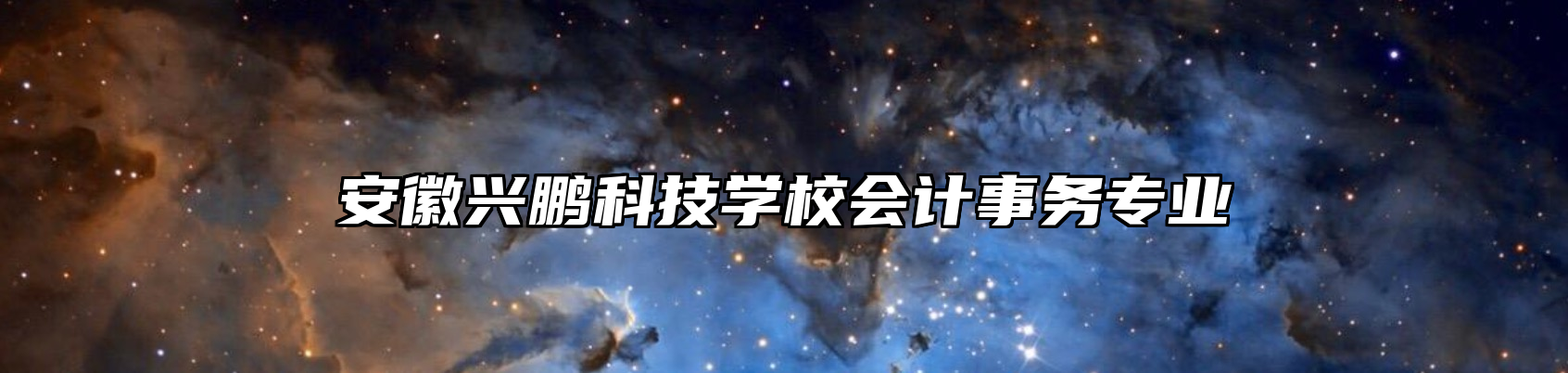 安徽兴鹏科技学校会计事务专业