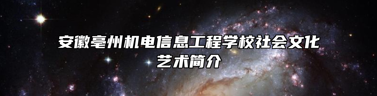 安徽亳州机电信息工程学校社会文化艺术简介