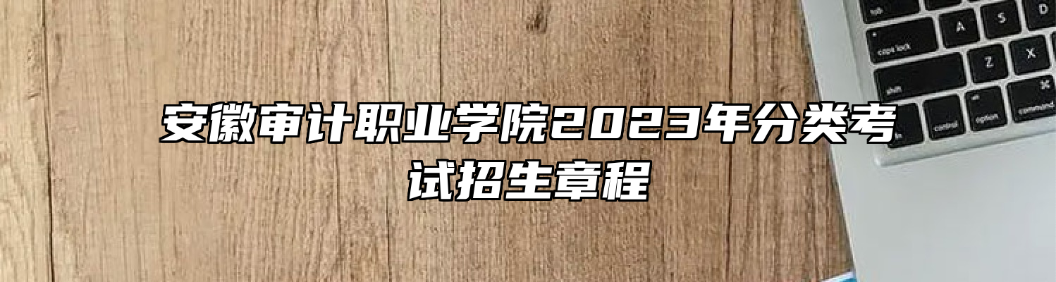 安徽审计职业学院2023年分类考试招生章程