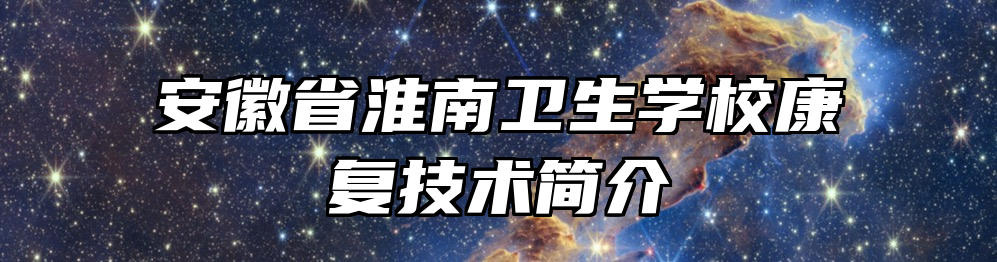 安徽省淮南卫生学校康复技术简介