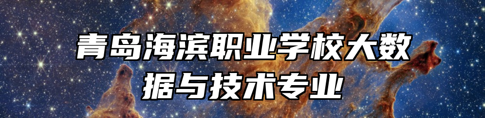 青岛海滨职业学校大数据与技术专业