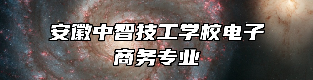 安徽中智技工学校电子商务专业