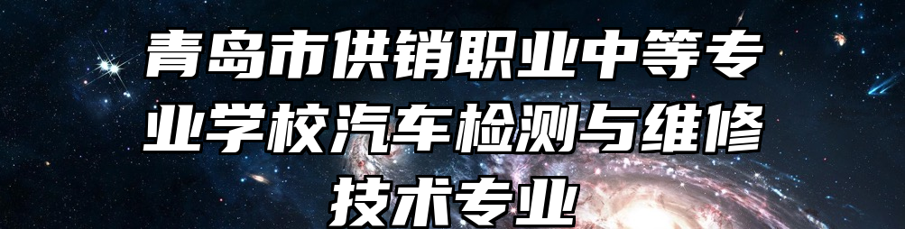 青岛市供销职业中等专业学校汽车检测与维修技术专业